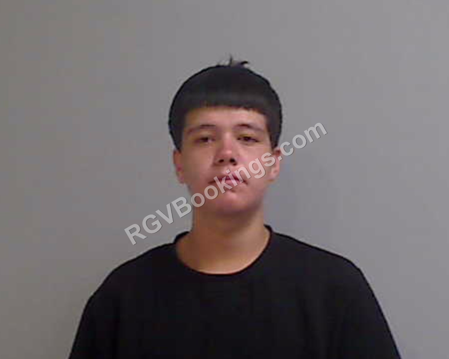Salinas, Luis