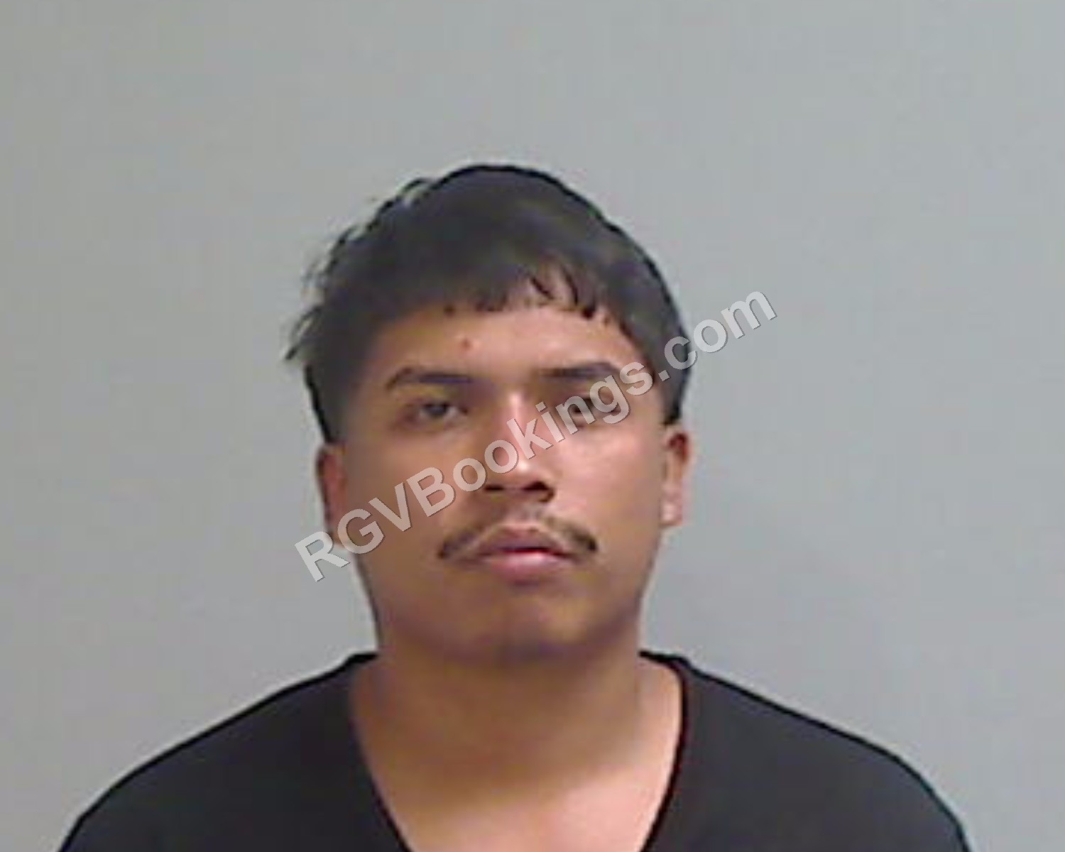 Pineda, Luis