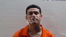 Machado, Daniel