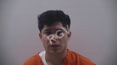 Alas, Meza