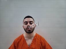 Cerda, Marvin