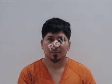 Galdamez, Carlos mugshot