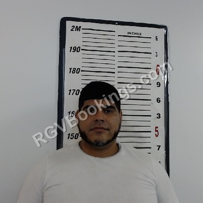 Alejandrez, Lee